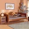 Baxton Studio Veles Mid-Century Modern Ash Walnut Finished Wood Full Size Daybed 183-11174-Zoro - alternate 2